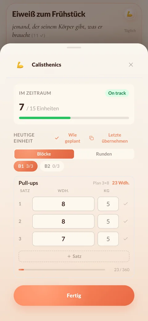 Workout Satz für Satz eintragen