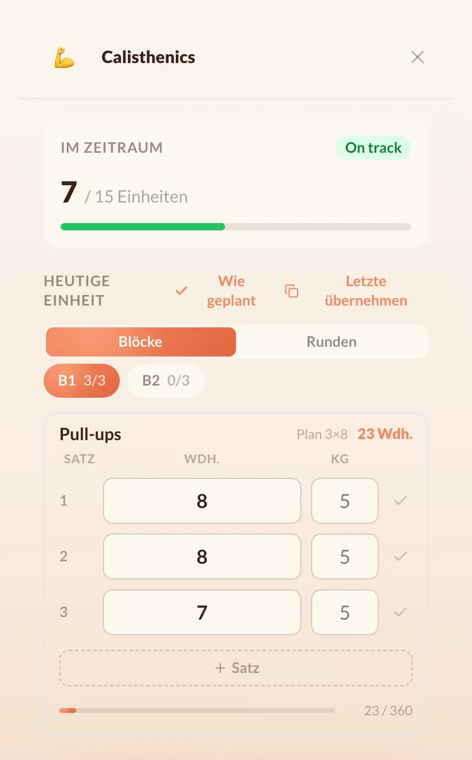 Workout Satz fuer Satz eintragen