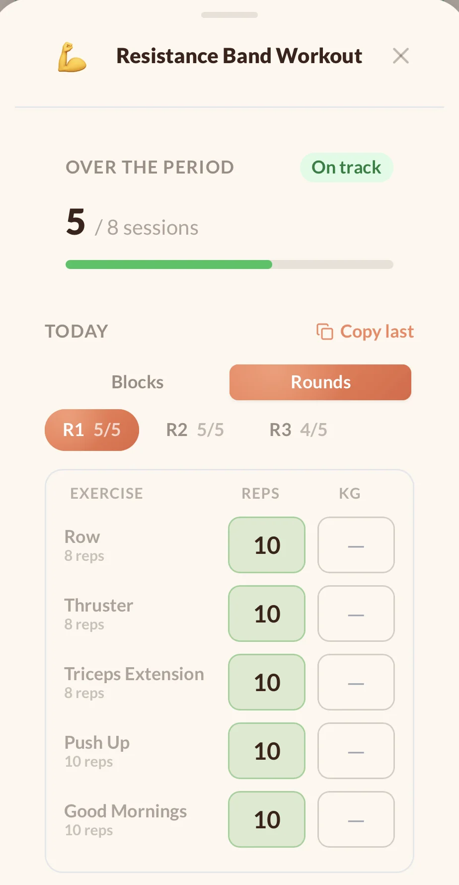 Workout Satz fuer Satz eintragen